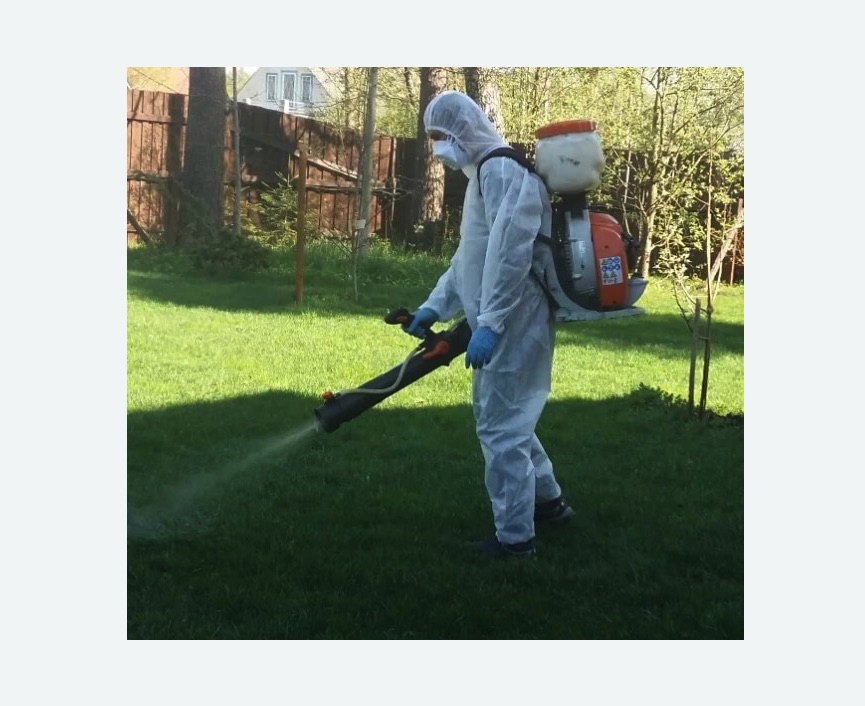 Обработка территории от клещей в Звенигово