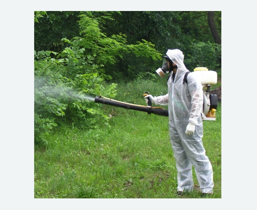 обработка территории от клещей в Звенигово