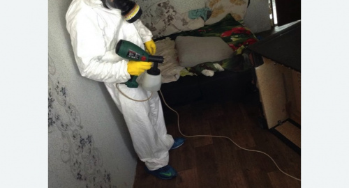 Обработка квартир от насекомых в Звенигово