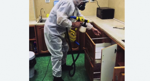 Дезинсекция квартиры. Звенигово