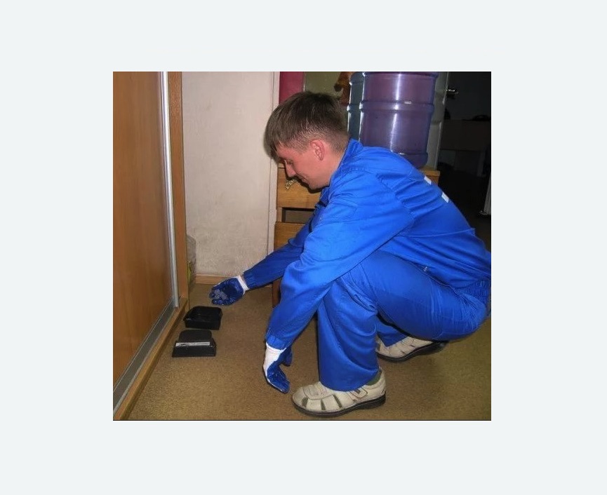 Дератизация крыс в Звенигово