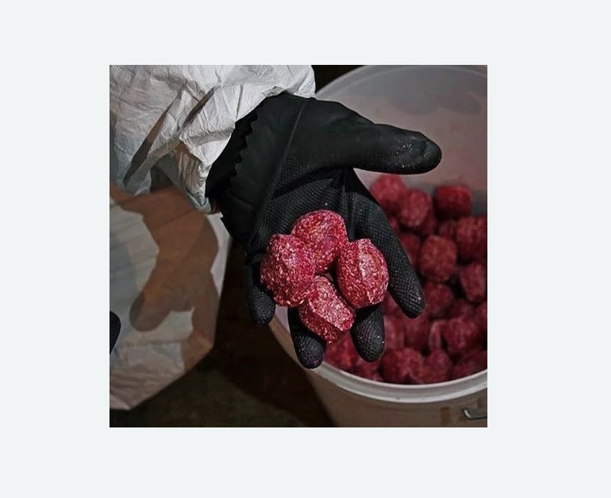 Обработка от крыс в Звенигово