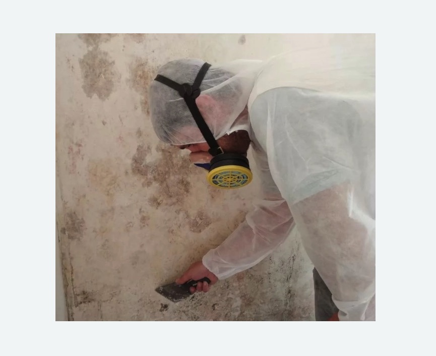 Обработка стен от плесени в Звенигово