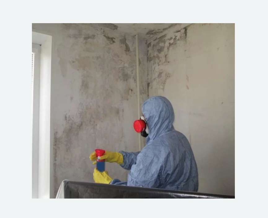Удаление плесени в квартире в Звенигово