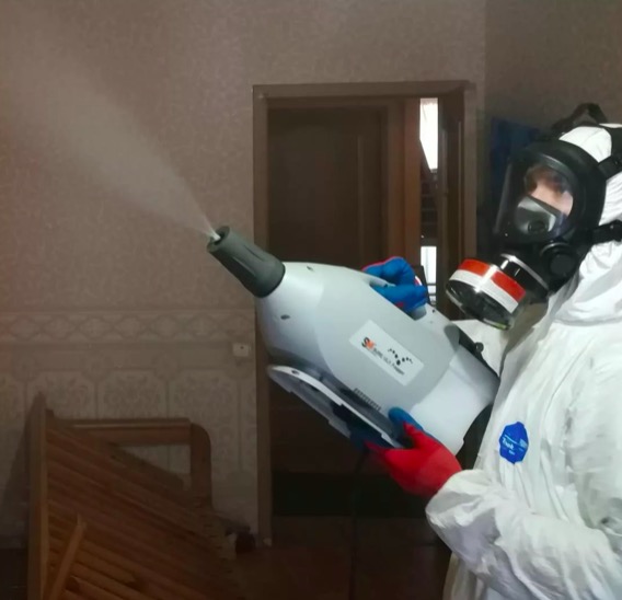 дезинсекция помещения в Звенигово