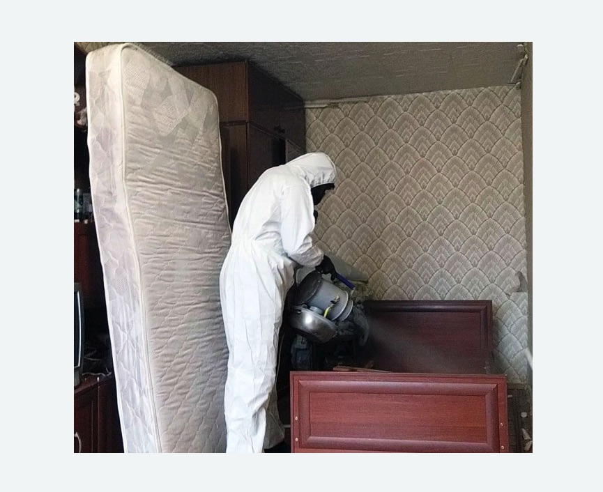 дезинфекция от клопов в Звенигово