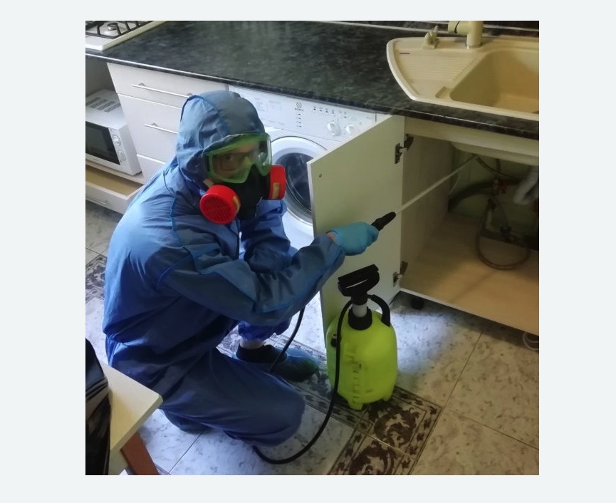 обработка от муравьев в квартире в Звенигово